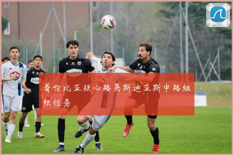 哥伦比亚核心路易斯迪亚斯中路组织任务